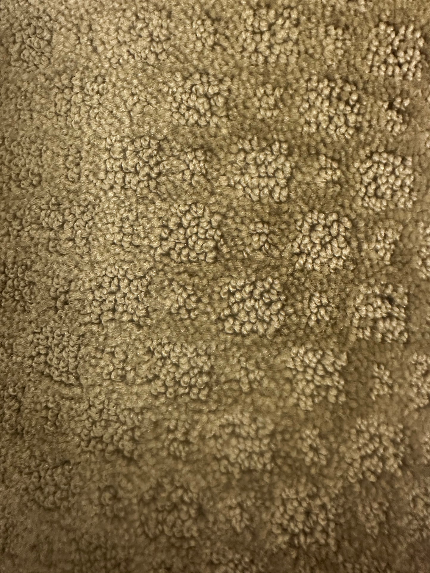 Hidden Cove, Mountain Trail