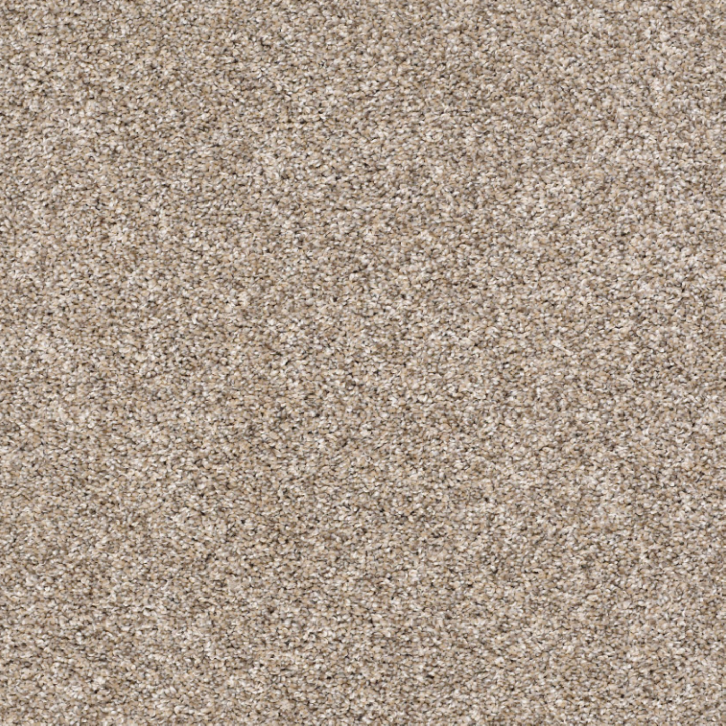 Shaw 100% Solution Dyed PET Polyester with 43.9 oz Face Weight