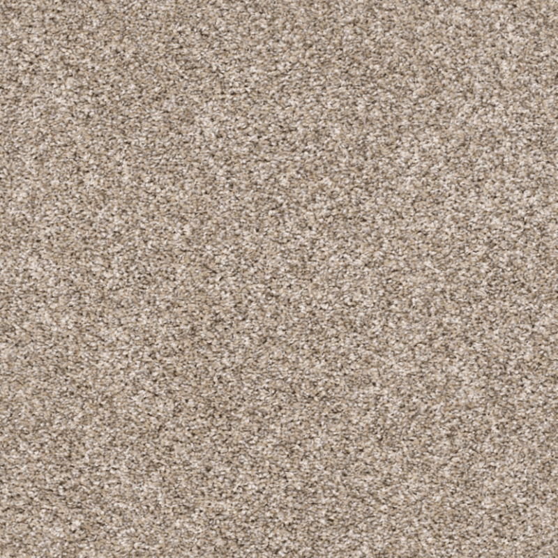 Shaw 100% Solution Dyed PET Polyester with 43.9 oz Face Weight