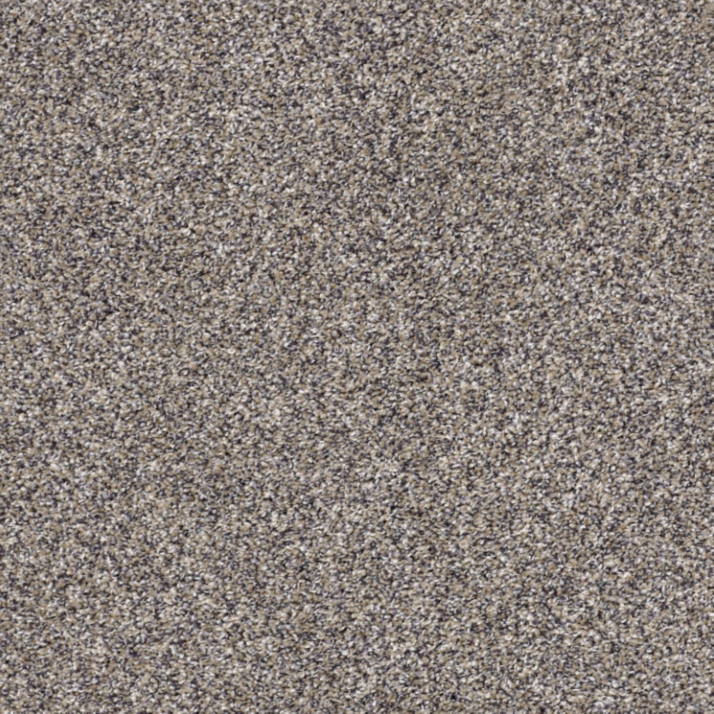 Shaw 100% Solution Dyed PET Polyester with 43.9 oz Face Weight