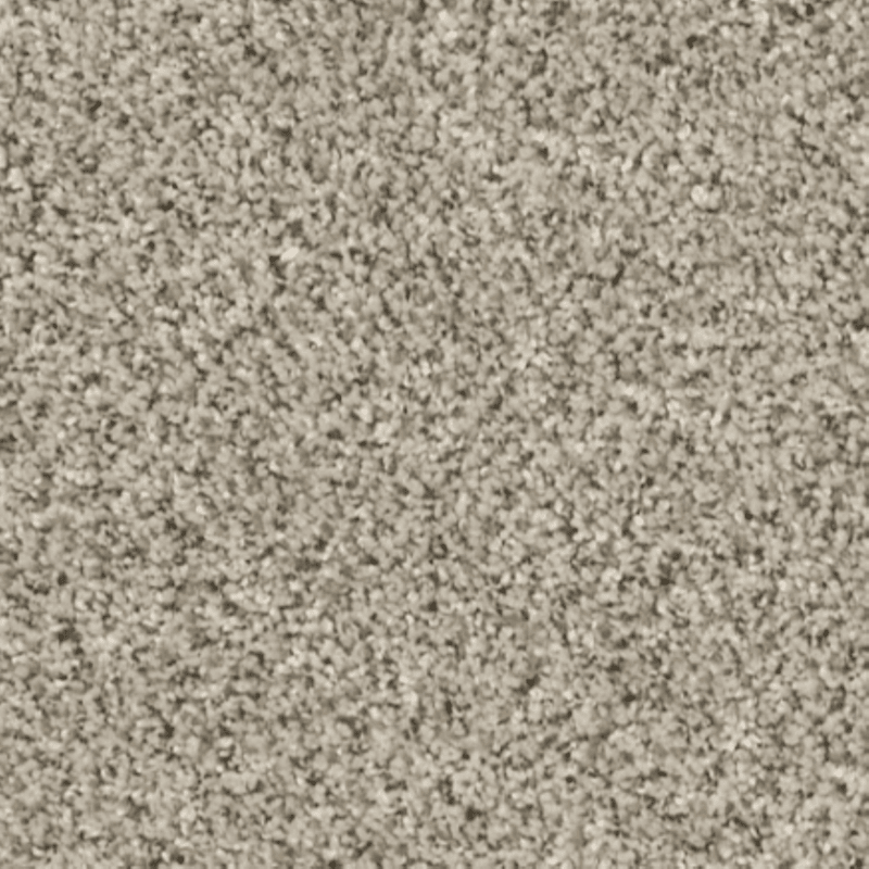 All Set I, River Rock Carpet Remnant