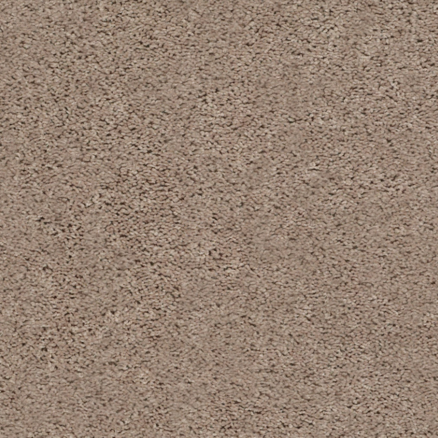 Shaw 100% PET Polyester Carpet with 25 oz Face Weight