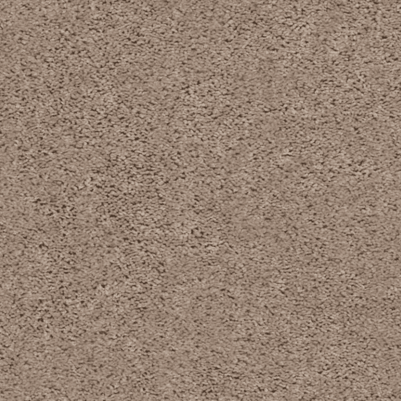 Shaw 100% PET Polyester Carpet with 25 oz Face Weight