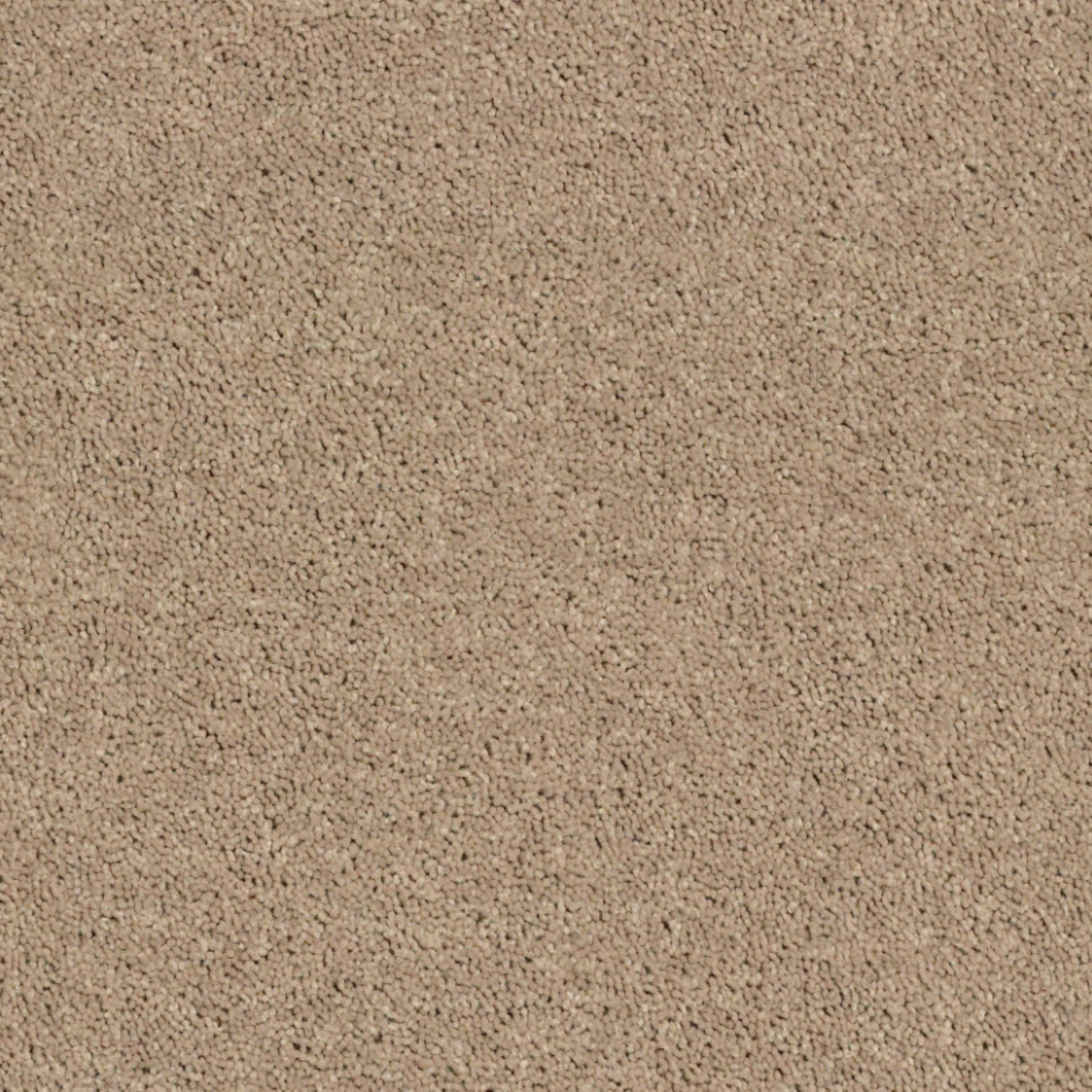Shaw 100% PET Polyester Carpet with 25 oz Face Weight