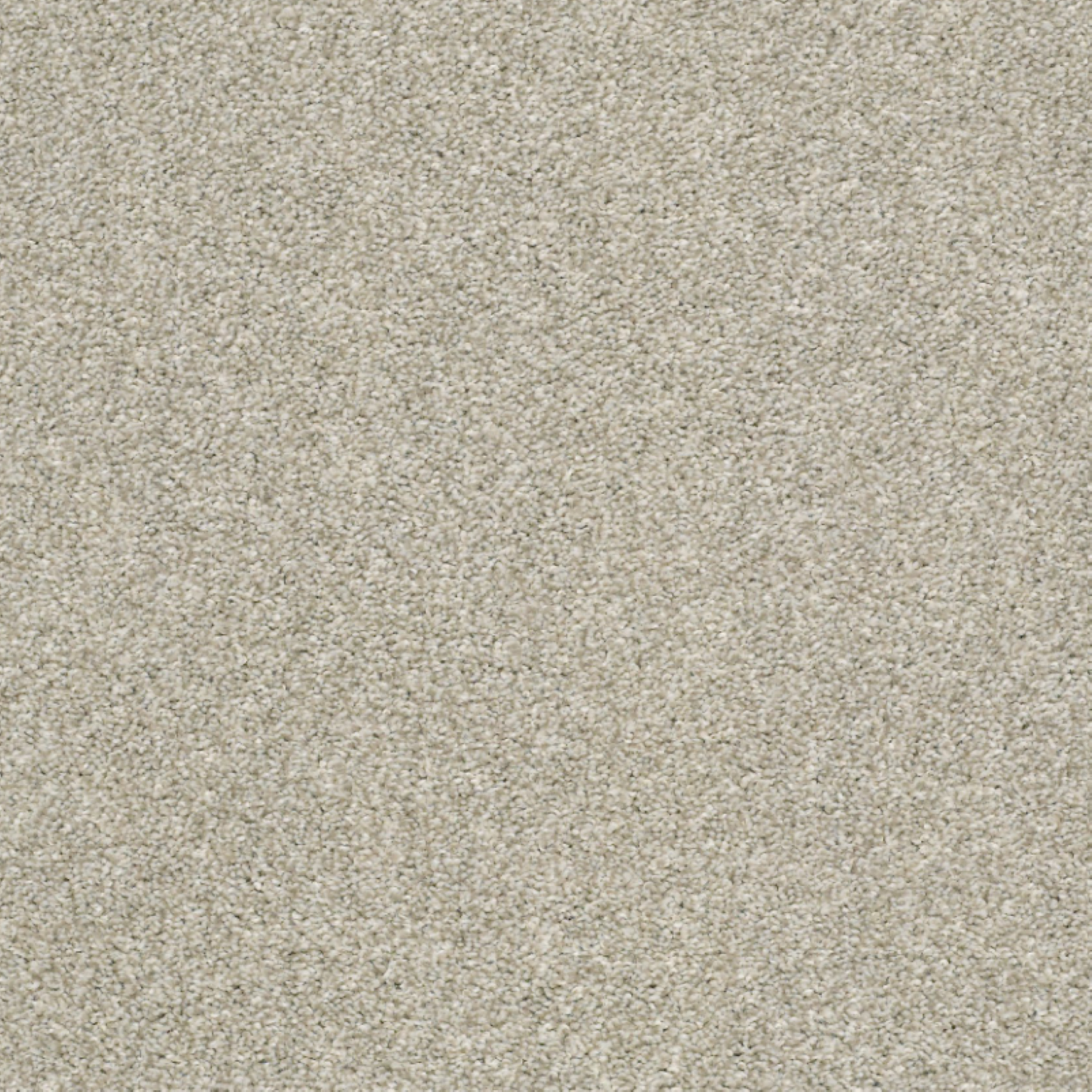 Shaw 100% PET Polyester Carpet with 25 oz Face Weight
