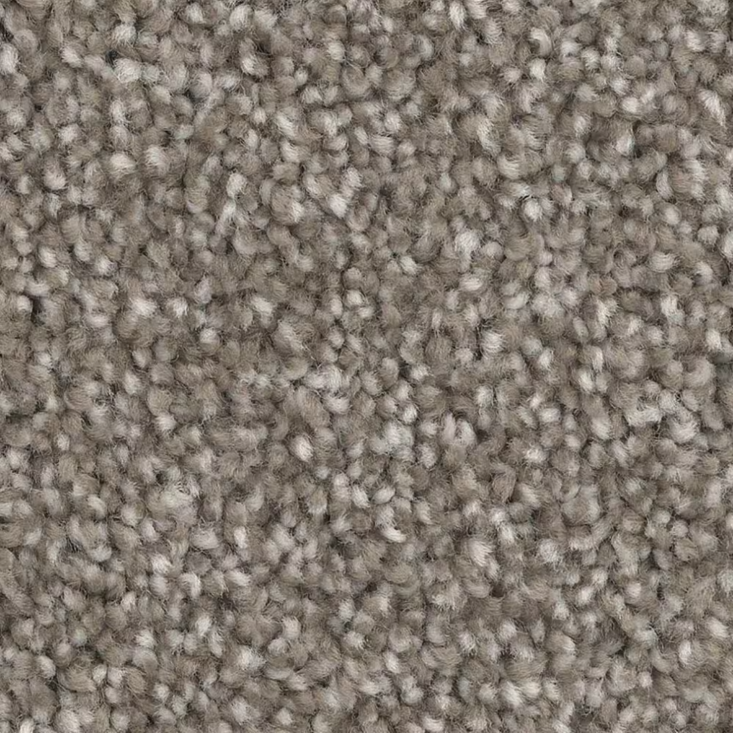 Dixie Polyester Carpet with 35 oz Face Weight
