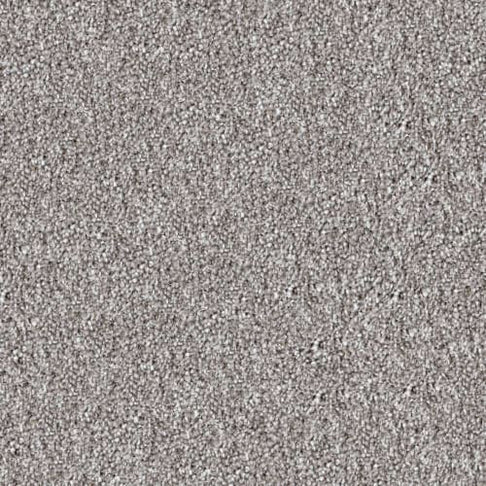 DX835 Carpet Remnants