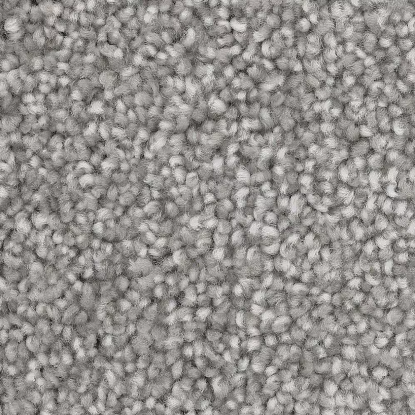 Dixie Polyester Carpet with 35 oz Face Weight