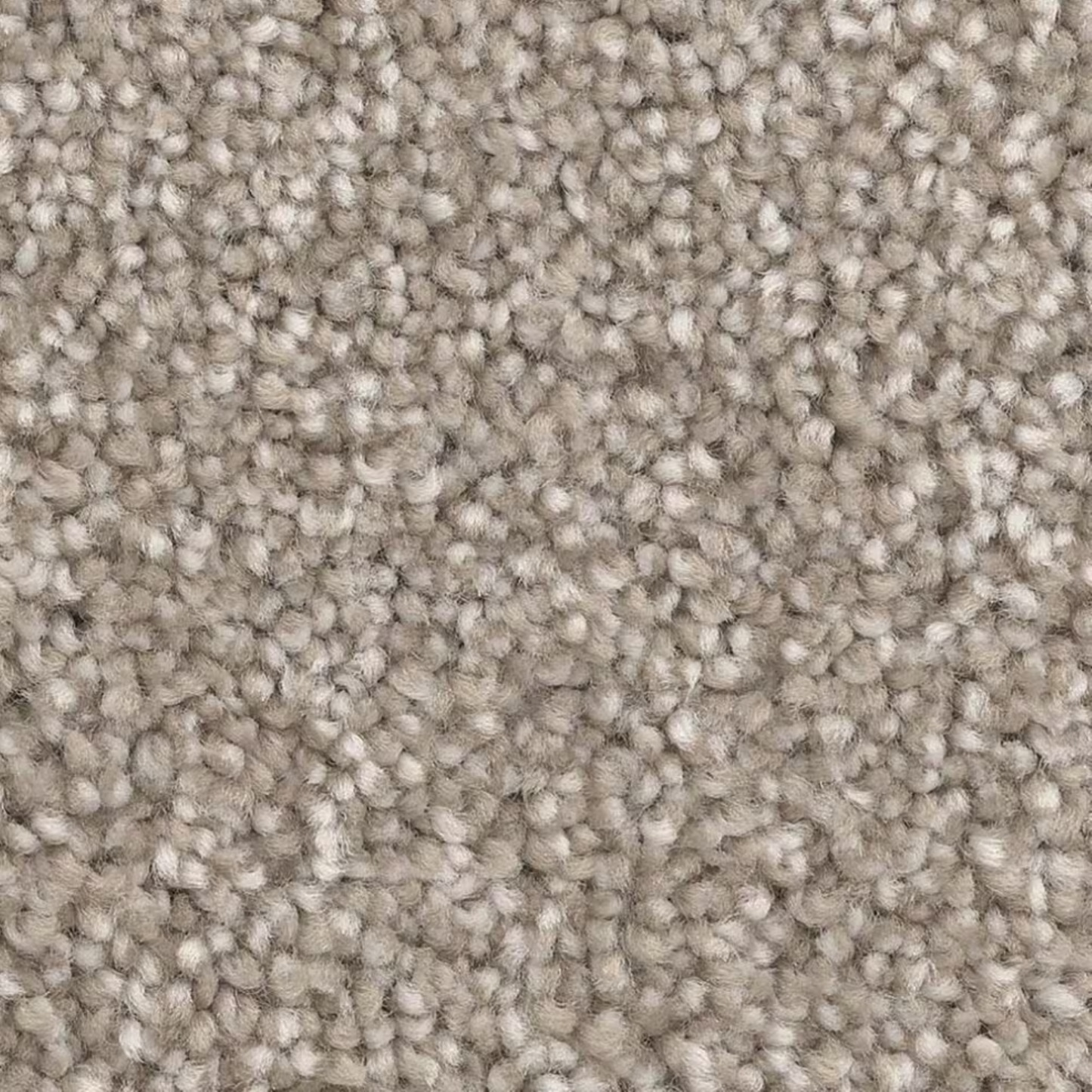 Dixie Polyester Carpet with 35 oz Face Weight