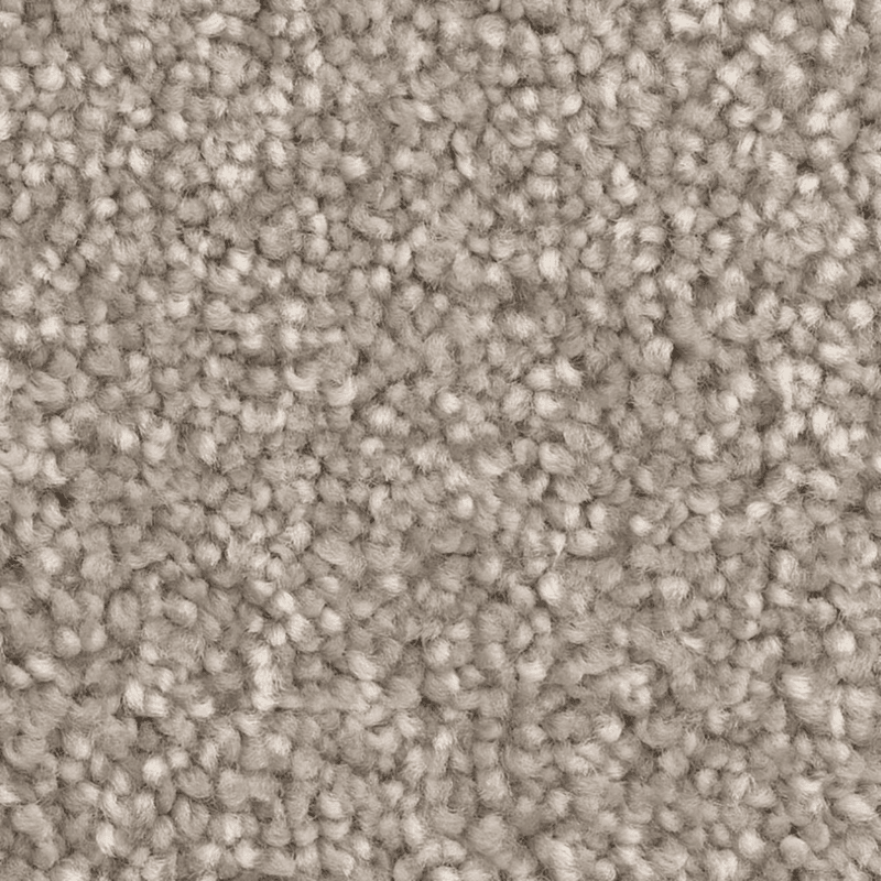 Dixie Polyester Carpet with 35 oz Face Weight