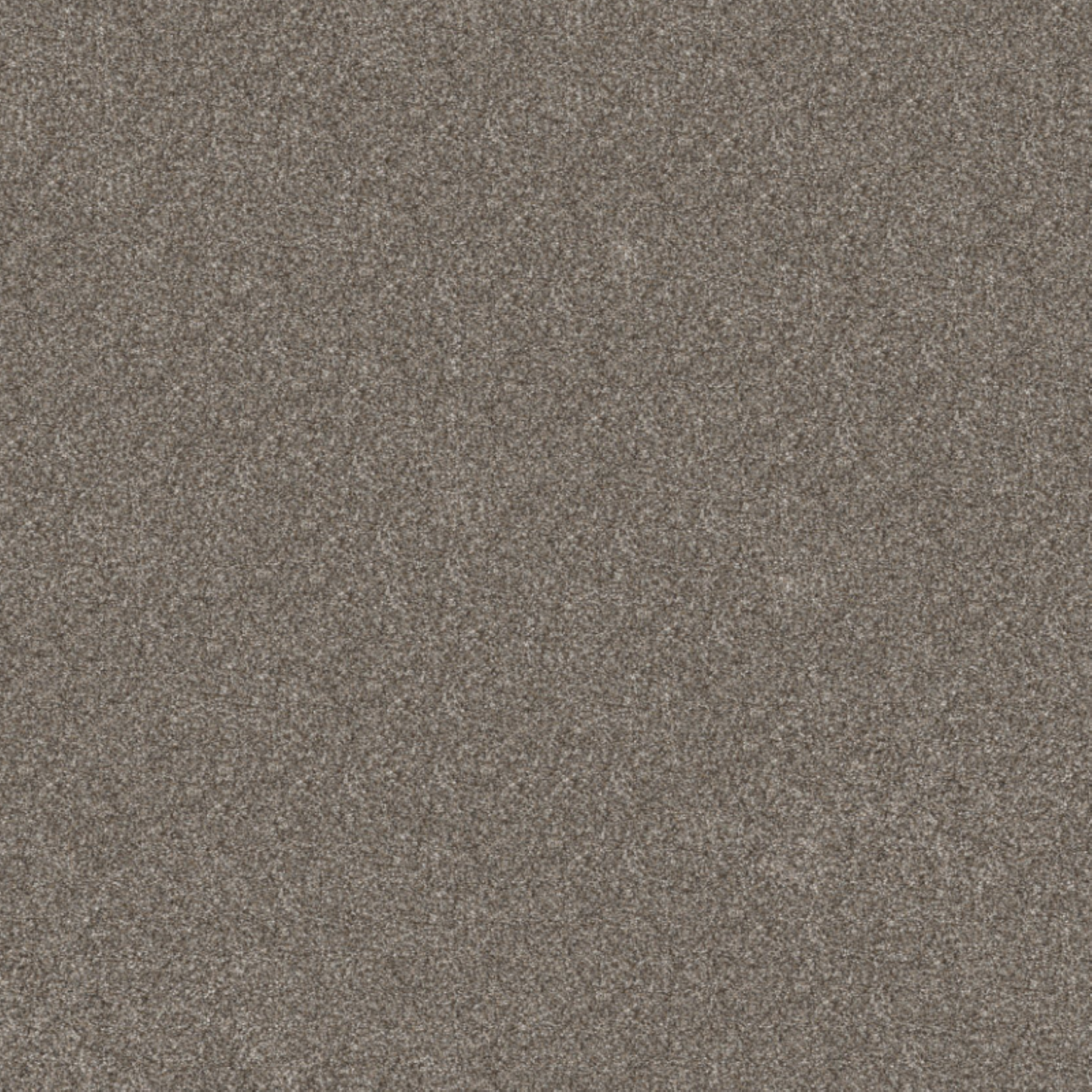 Shaw 100% Solution Dyed PET Polyester with 48.8 oz Face Weight