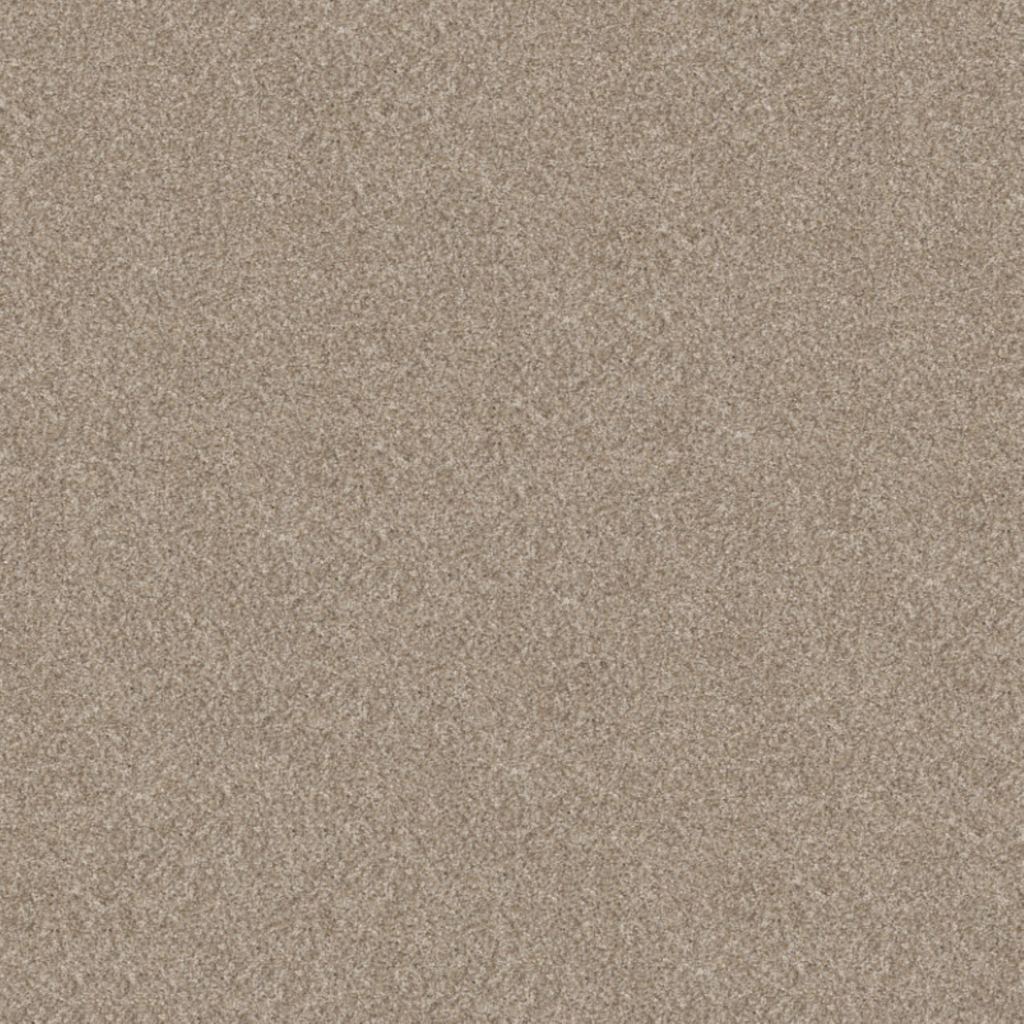 Shaw 100% Solution Dyed PET Polyester with 48.8 oz Face Weight