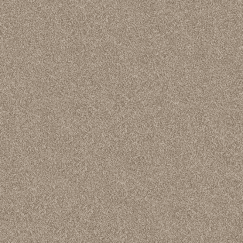 Shaw 100% Solution Dyed PET Polyester with 48.8 oz Face Weight