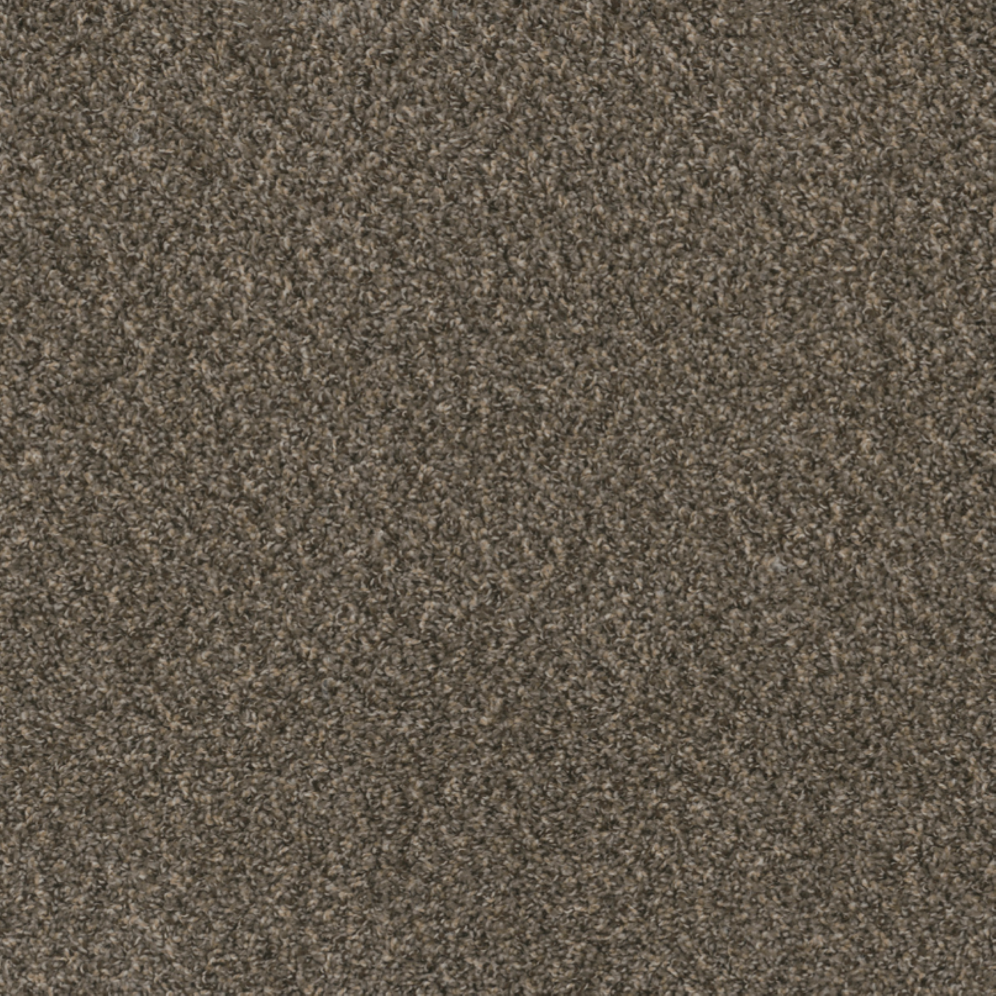 DreamWeaver 100% PureColor Solution Dyed BCF Polyester Carpet with 24 oz Face Weight