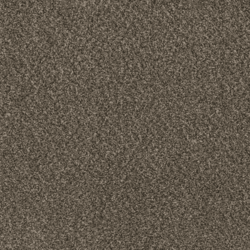 DreamWeaver 100% PureColor Solution Dyed BCF Polyester Carpet with 24 oz Face Weight