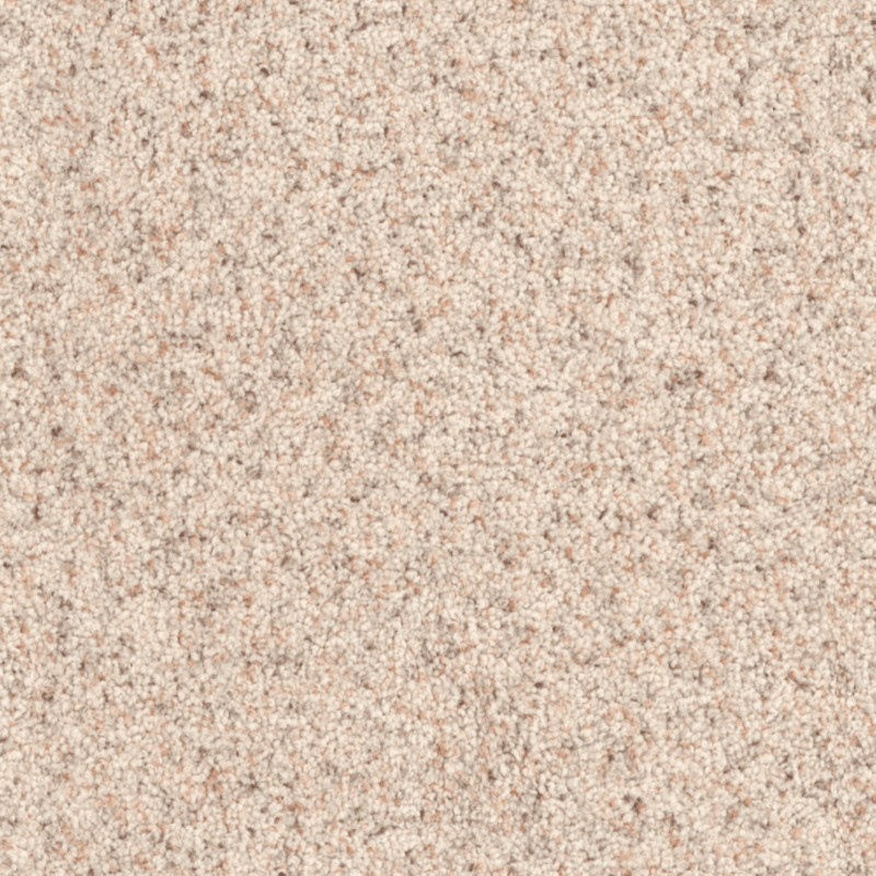 Dixie 100% EnvisionSD Pet Solutions BCF Nylon