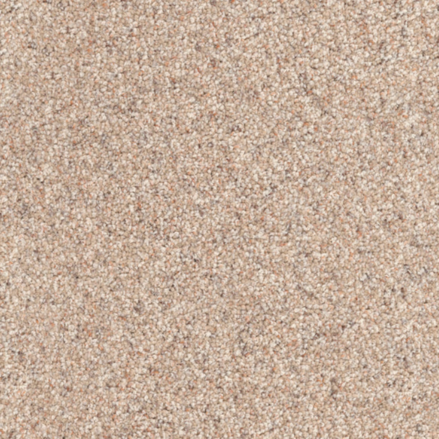 Dixie 100% EnvisionSD Pet Solutions BCF Nylon