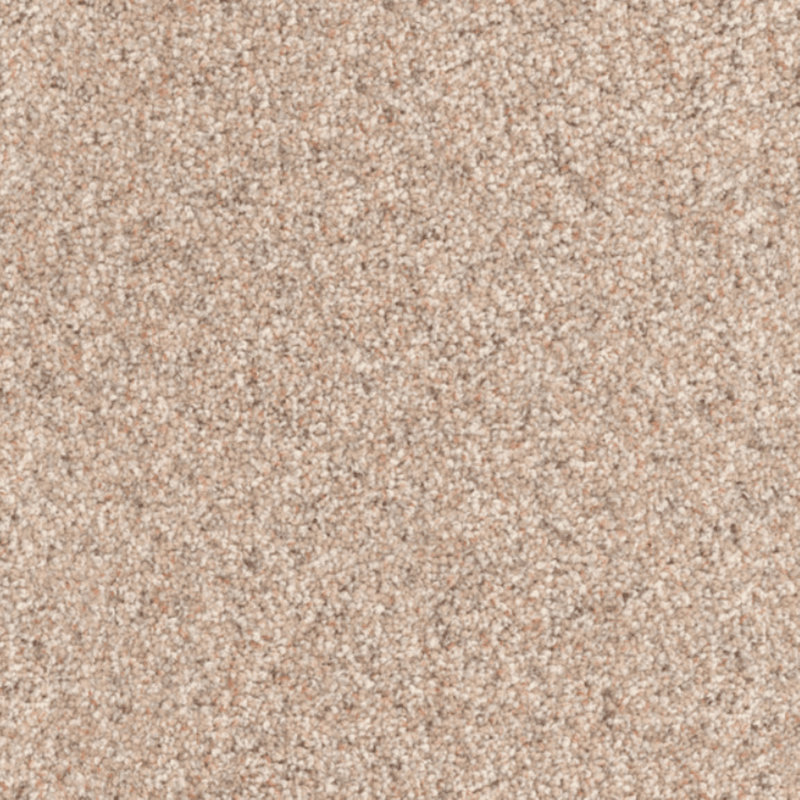 Dixie 100% EnvisionSD Pet Solutions BCF Nylon