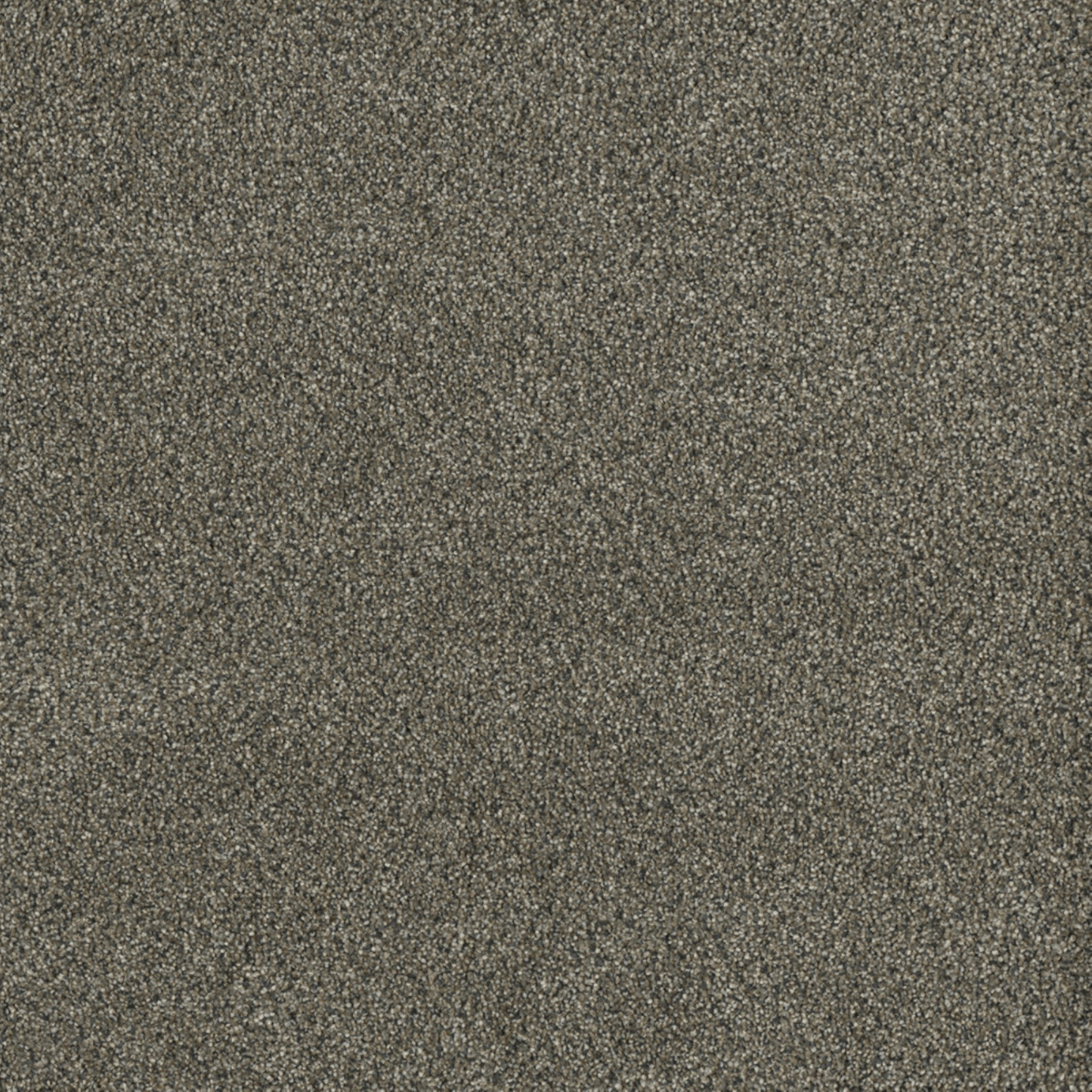 DreamWeaver 100% PureColor SD BCF Polyester with 50 oz Face Weight
