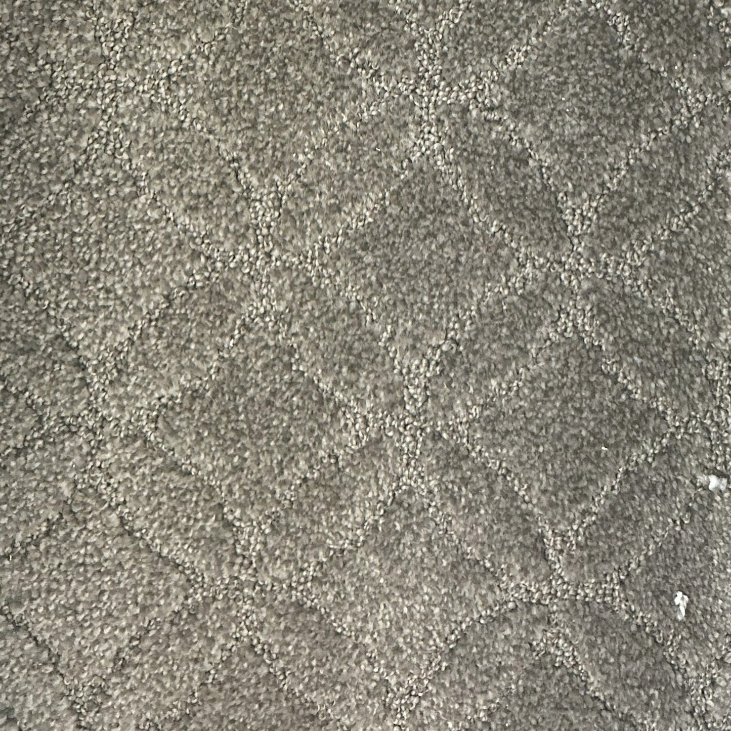 Modern Vogue, Roasted