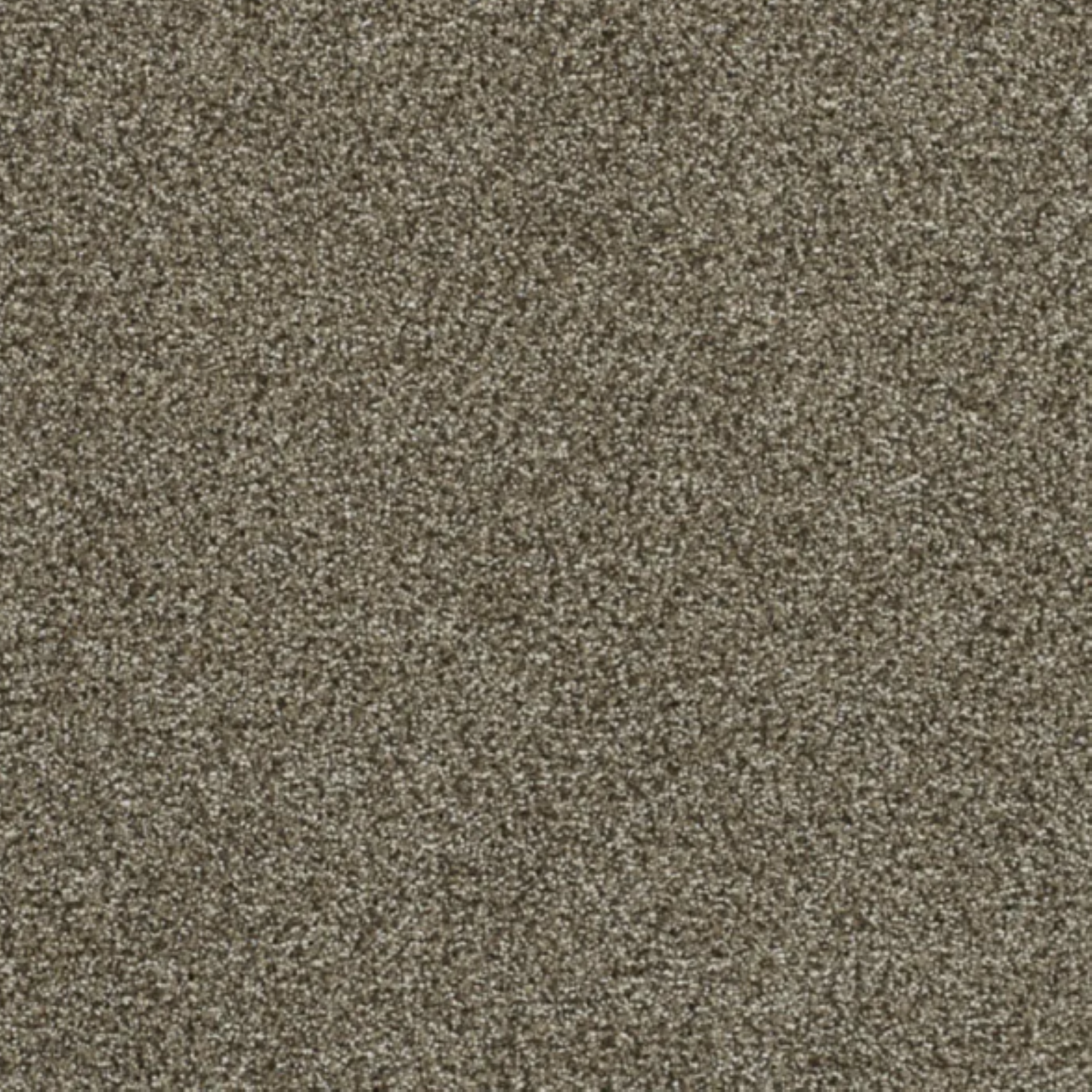 PS200 Carpet