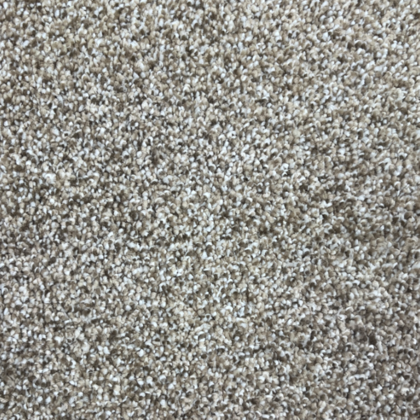 PS200 Carpet