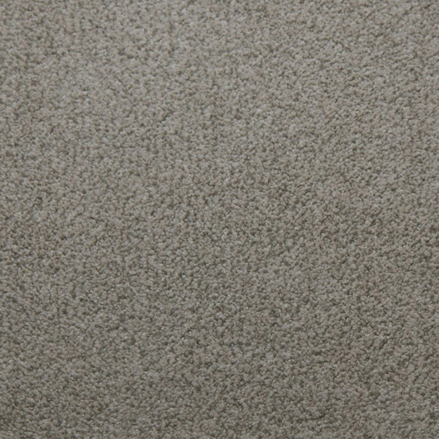 Tarkett 100% Solution Dyed Primus PET SuperSoft Carpet with 58 oz Face Weight