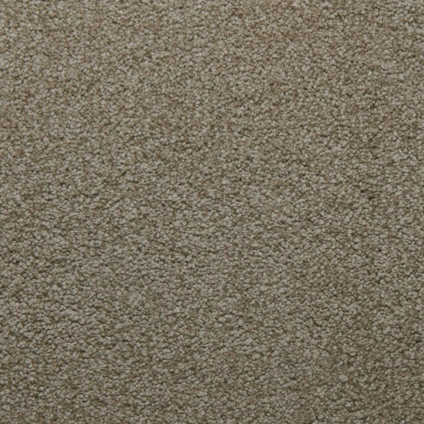 Tarkett 100% Solution Dyed Primus PET SuperSoft Carpet with 58 oz Face Weight