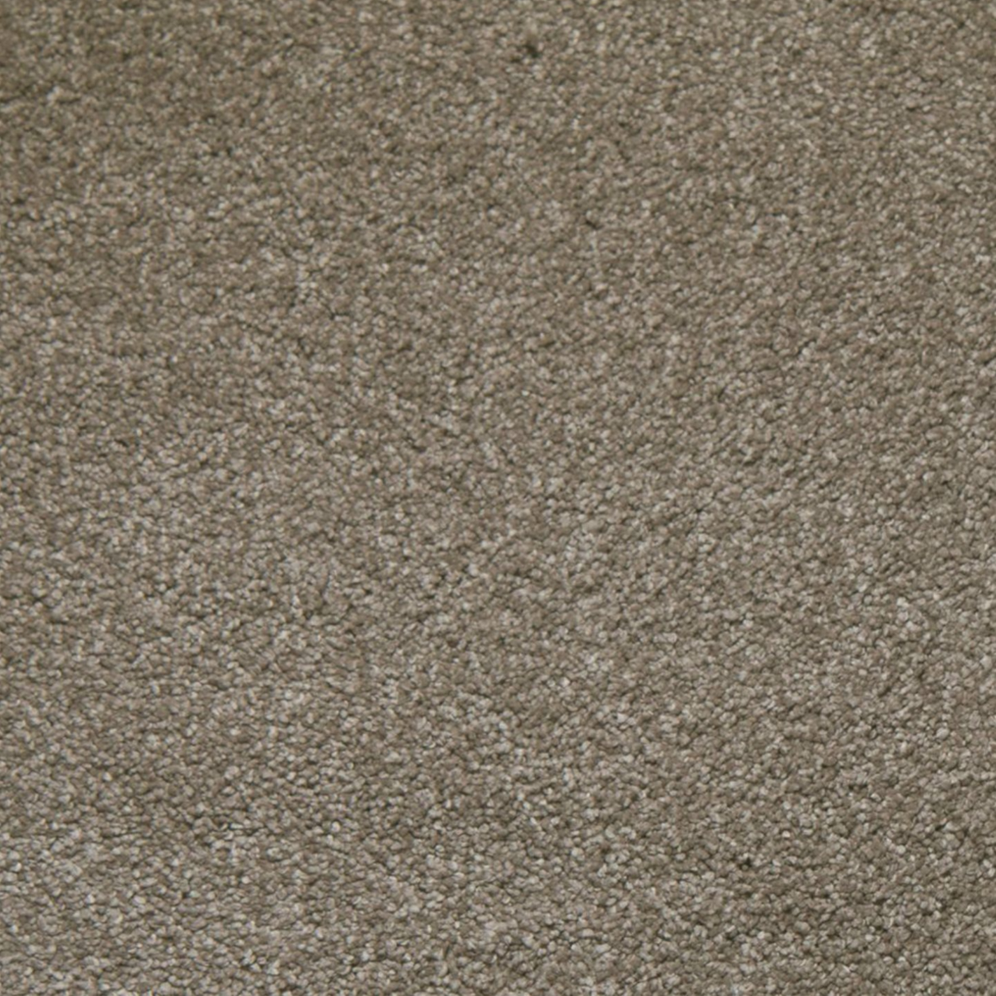 Tarkett 100% Solution Dyed Primus PET SuperSoft Carpet with 58 oz Face Weight