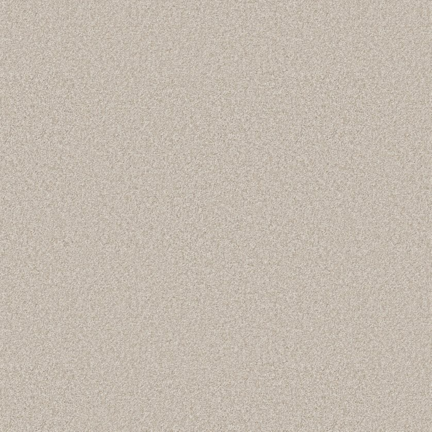 You Got This III Carpet
