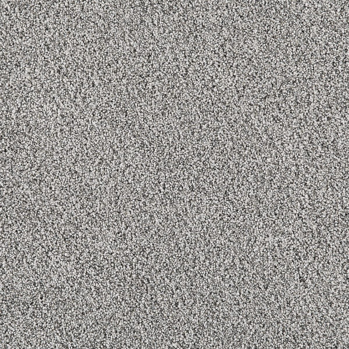DreamWeaver® Affinity I Texture Carpet