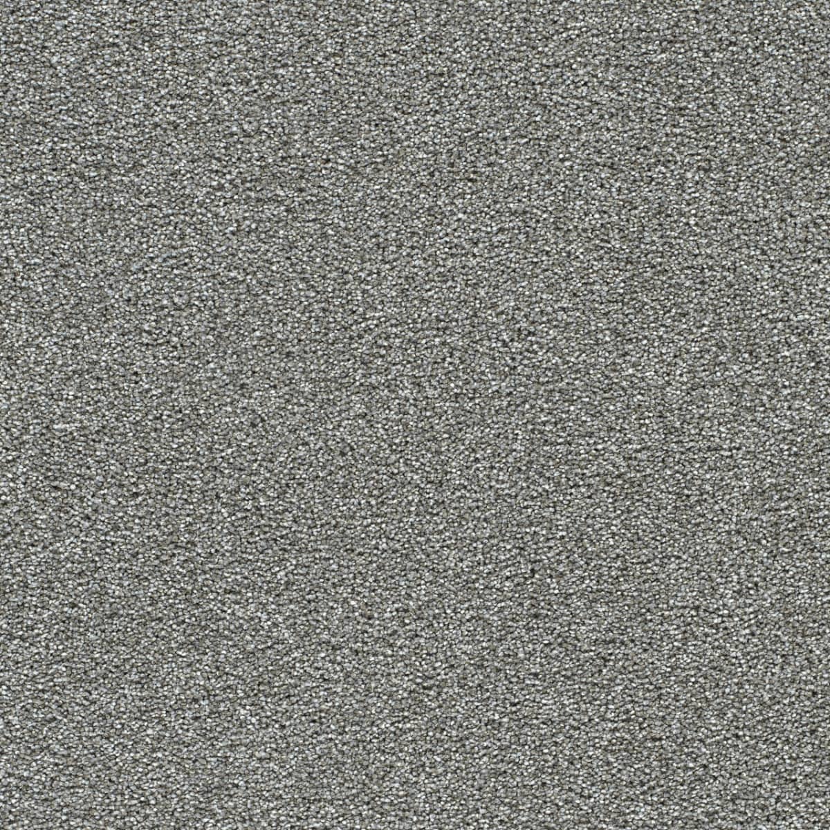 DreamWeaver® Breakview III Texture Carpet