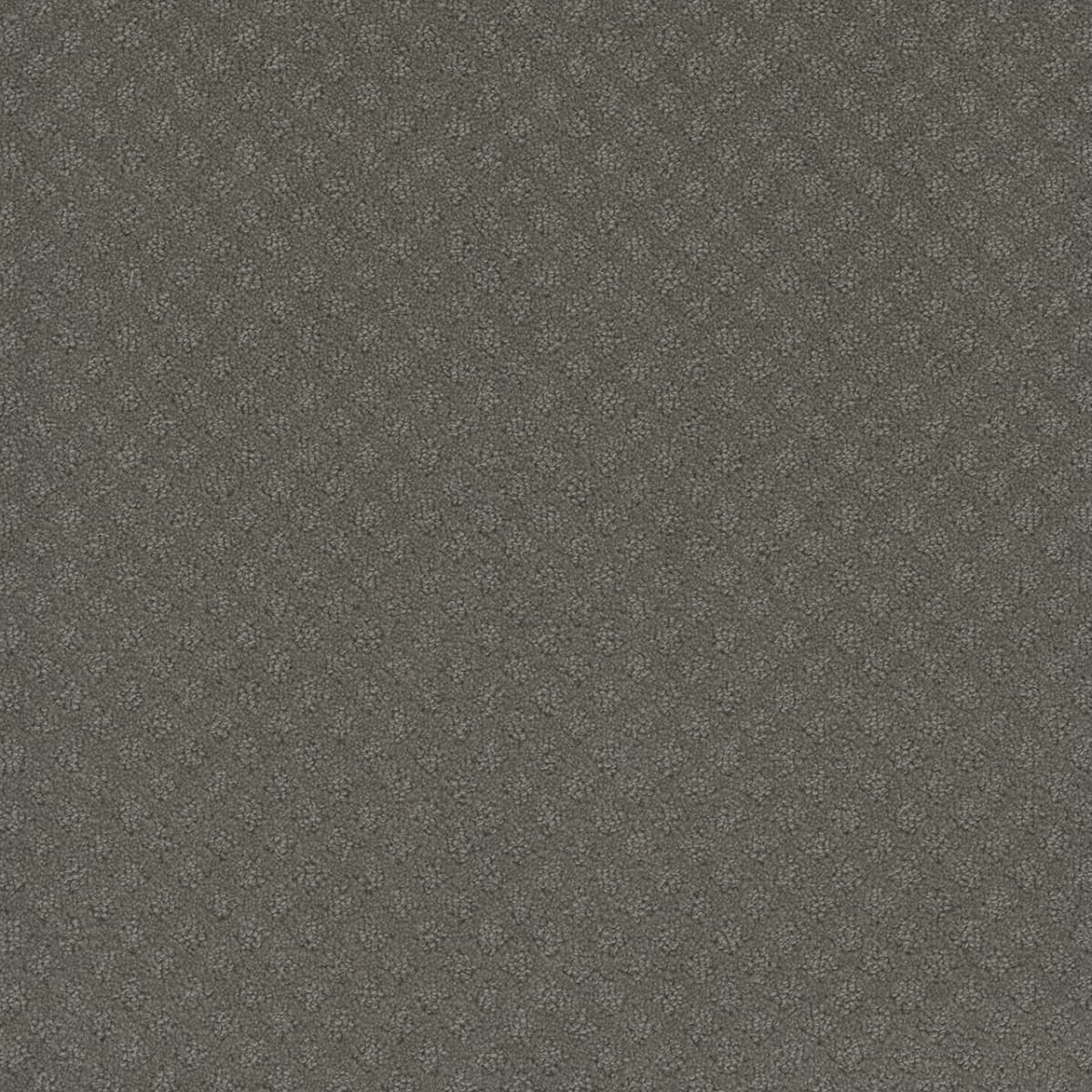 DreamWeaver® Capri Patterned Carpet