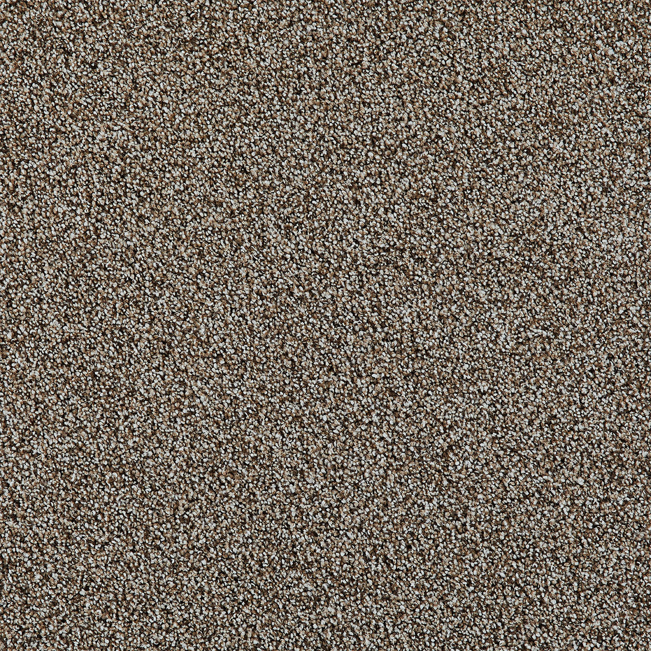 DreamWeaver® Excalibur II Cut Pile Carpet