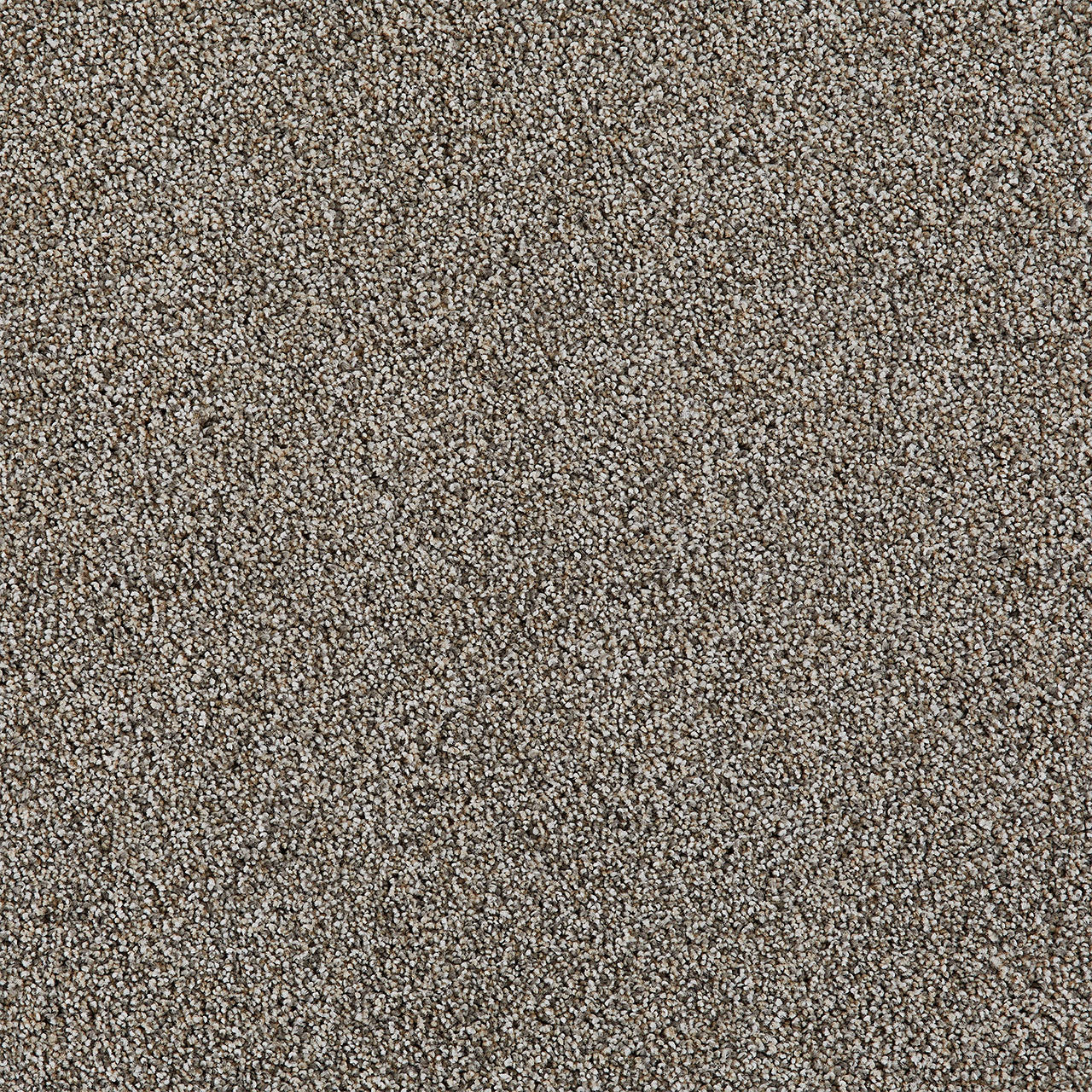 DreamWeaver® Excalibur IV Cut Pile Carpet