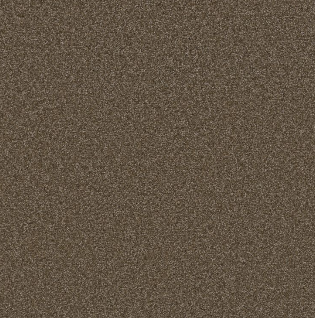Festival Prairie Carpet Remnant MEGA DEAL