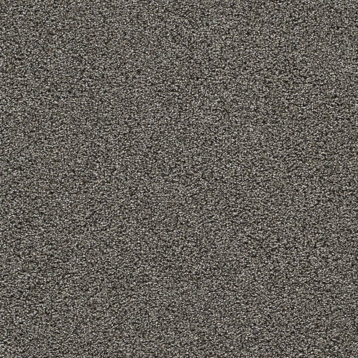 DreamWeaver® Gold Standard II Texture Carpet