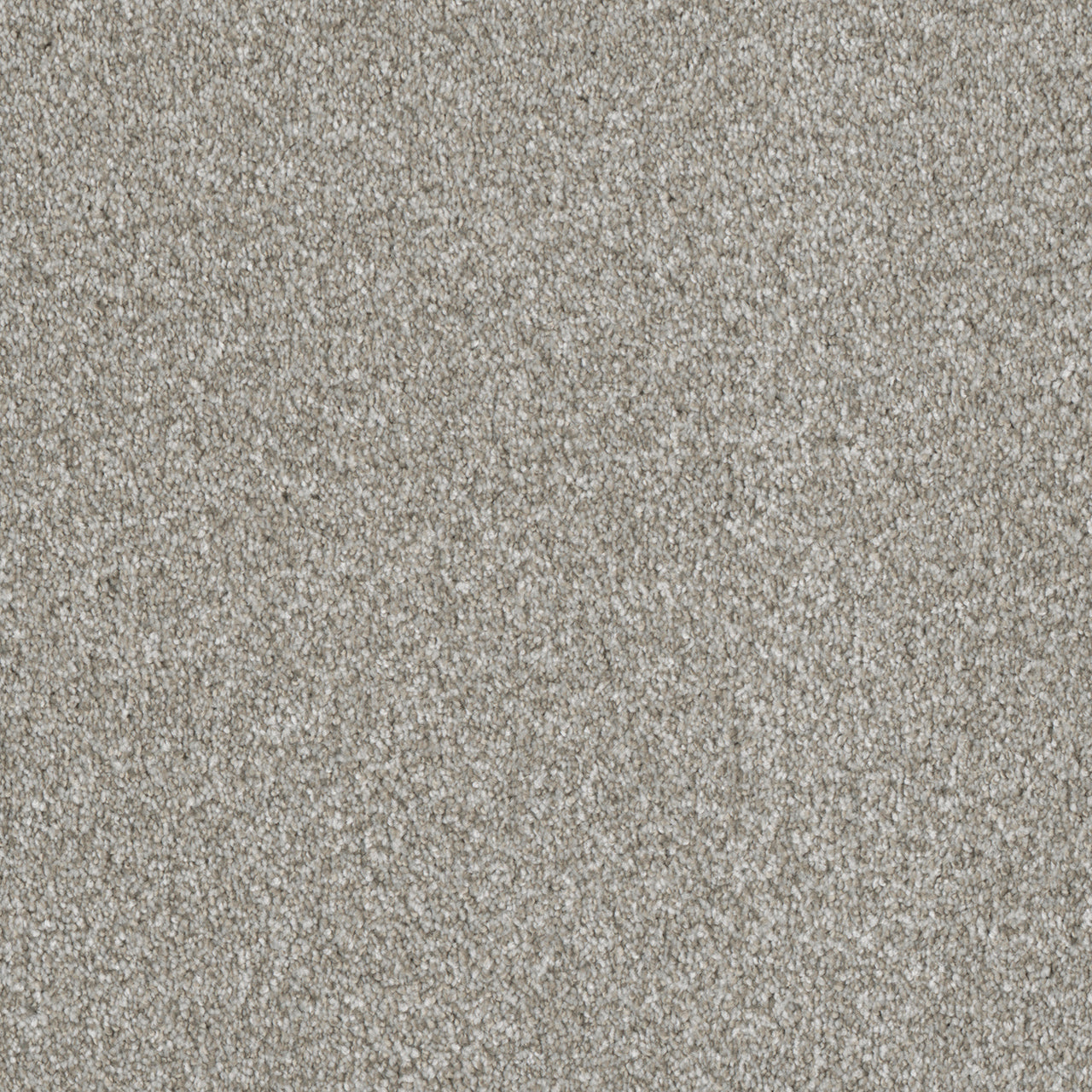 DreamWeaver® Luxor II Textured Cut Pile Carpet