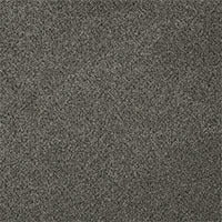 DreamWeaver® Malibu I Textured Cut Pile Carpet
