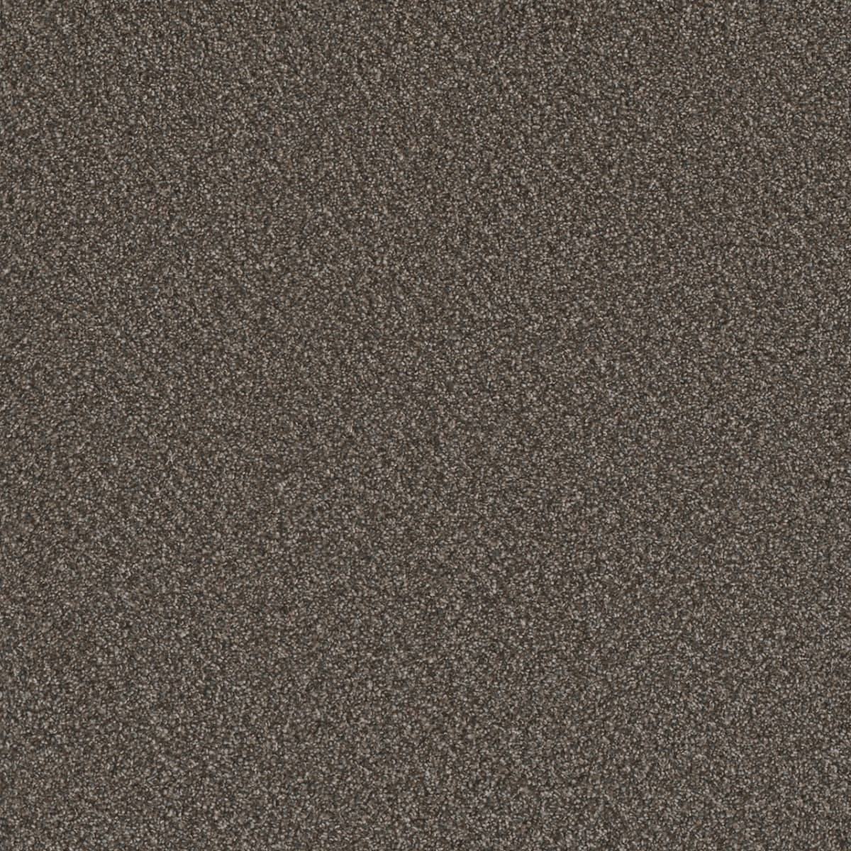 DreamWeaver® Metropolis II Textured Carpet