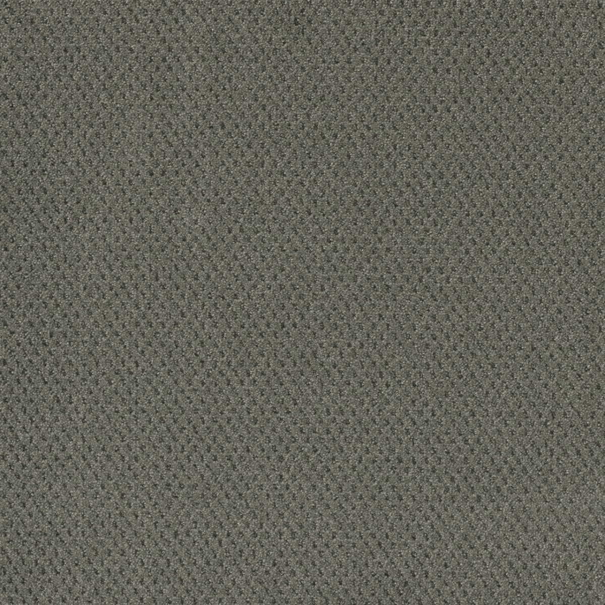 DreamWeaver® Moon Bay Patterned Loop Carpet