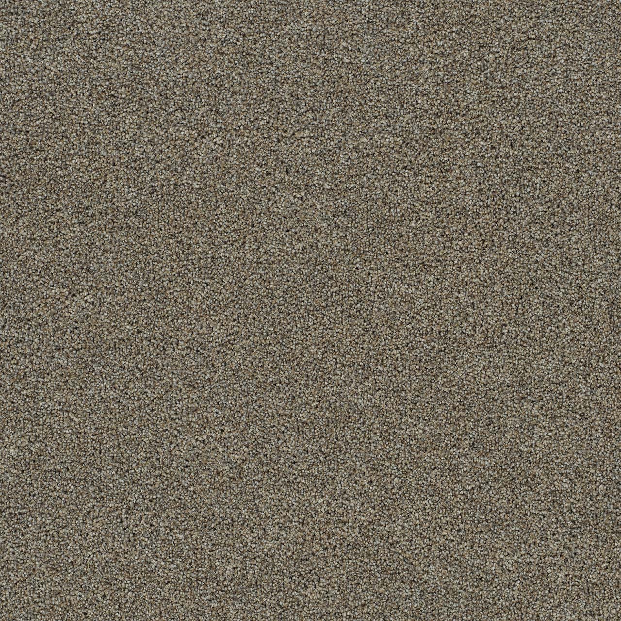 DreamWeaver® Morning Glory II Cut Pile Carpet