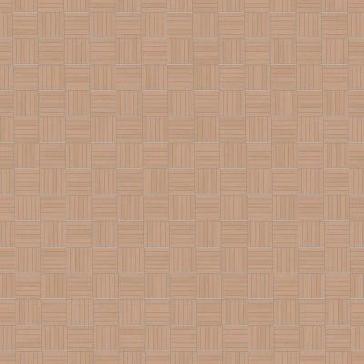 100001038