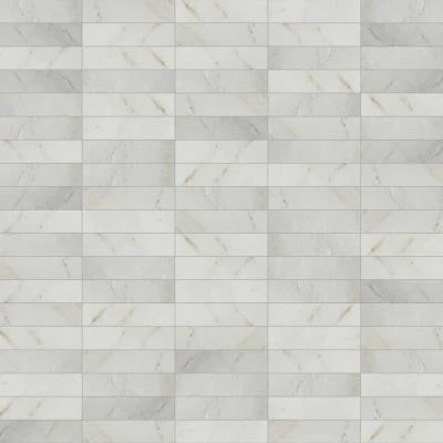 Glorious White Brushed 3" X 12" in White