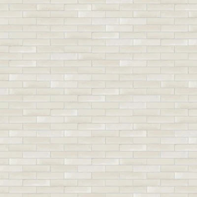 Scrapbook Album White, Rectangle, 2X8, Matte