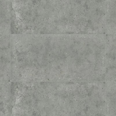 Poetry Stone 24" x 48" Matte Porcelain Field Tile in Grey