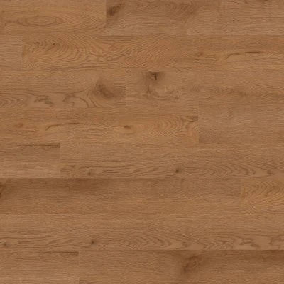 Concorde Oak