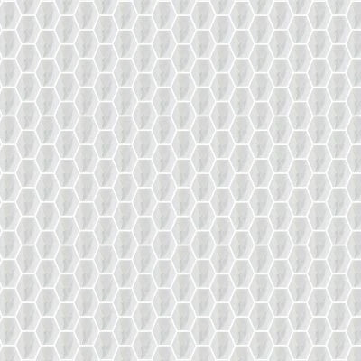 Athena Plata Polished 10x14 Hex Mosaic
