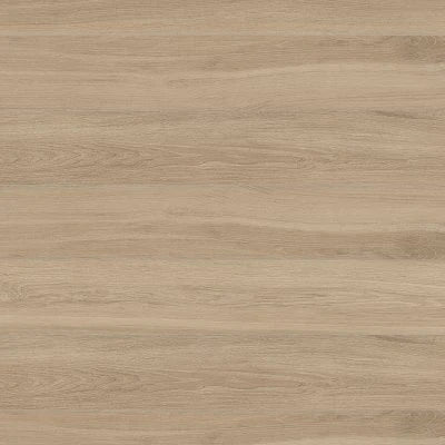 Arrowhead 10"x60" Wood Look Matte Porcelain Tile in Honey