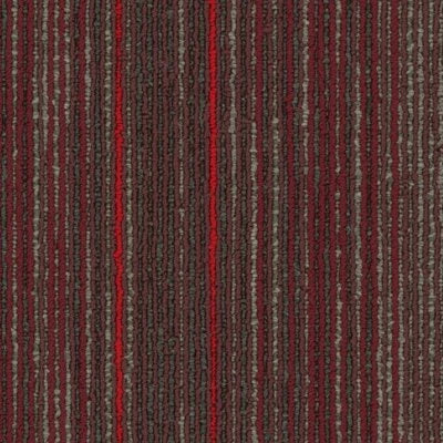 54902-00800